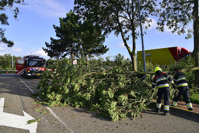 2017/159/20170803-19u41 GB 002 Stormschade Schipholdijk.jpg